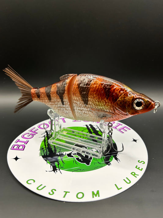 7” Carpio Glide Bait – Perch Pattern