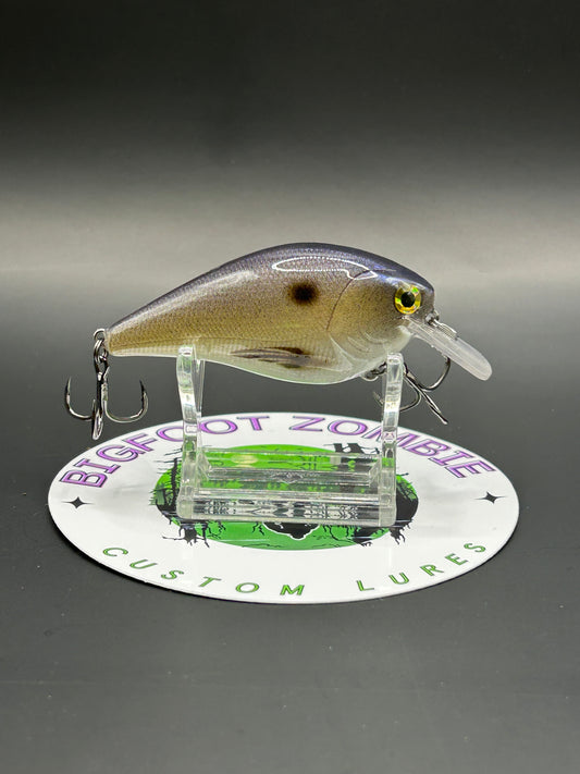 2.5” Squarebill Crankbait – Shallow Water Classic
