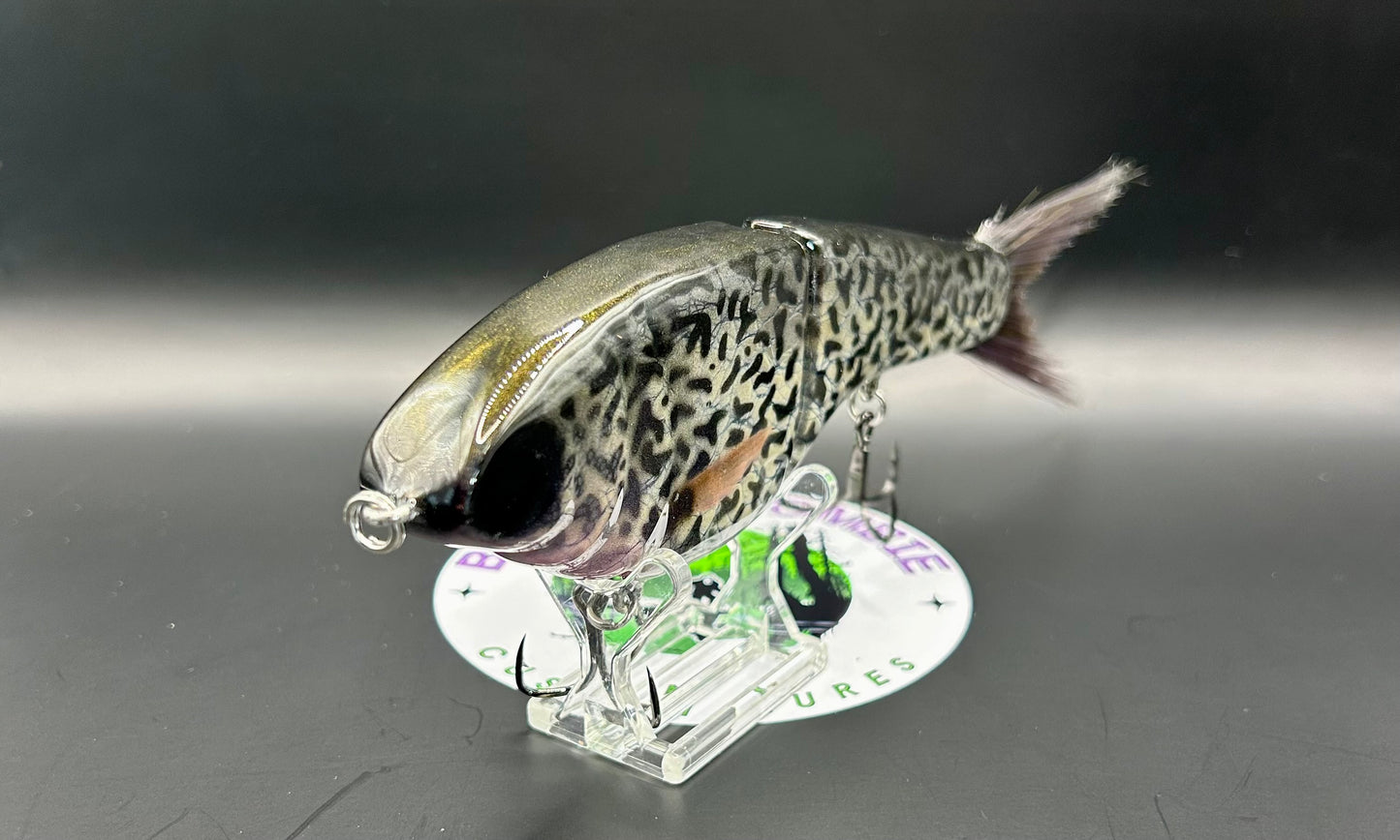 BZ Guppy Gilde 6in Resin