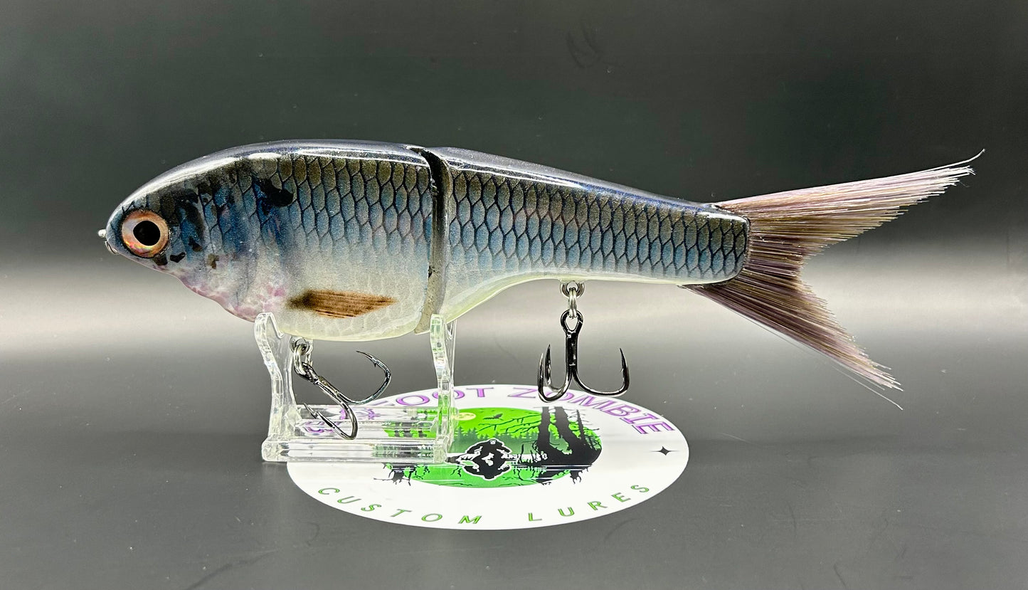 BZ Guppy Gilde 6in Resin