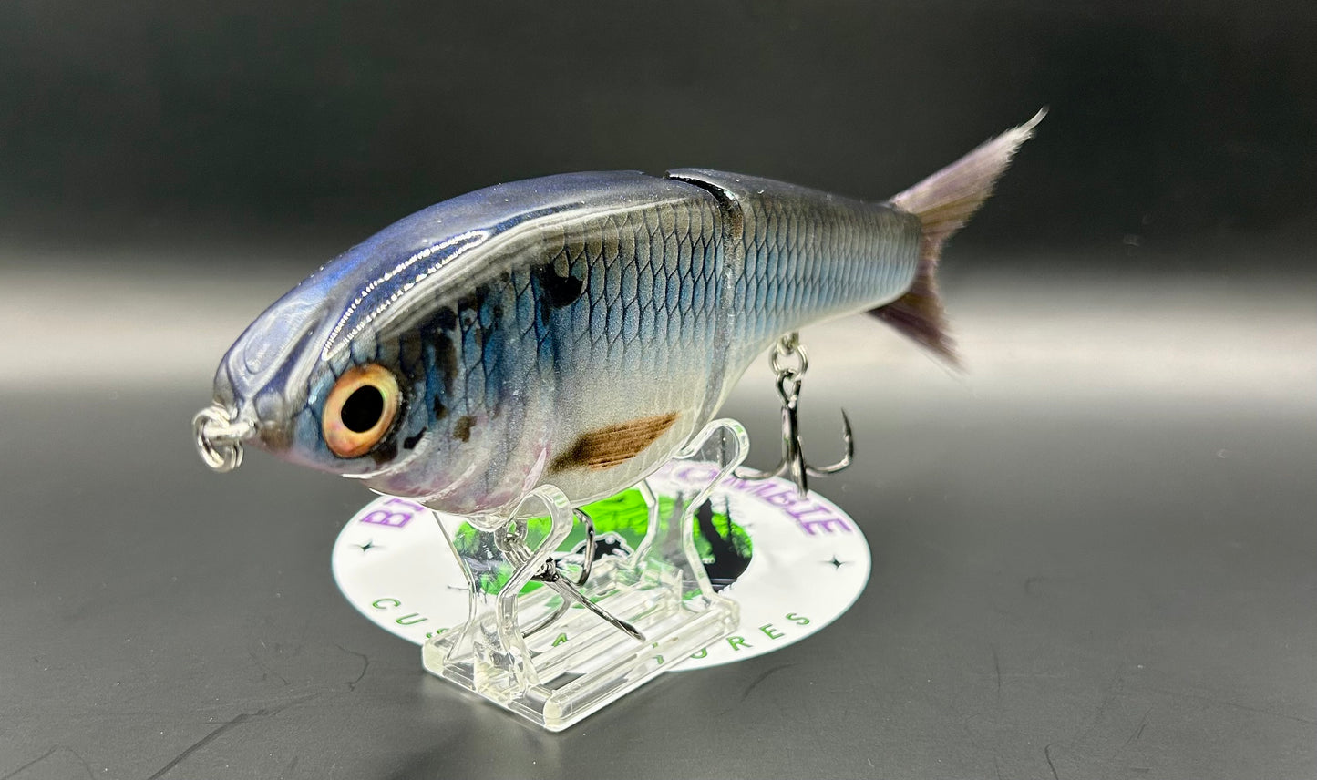 BZ Guppy Gilde 6in Resin