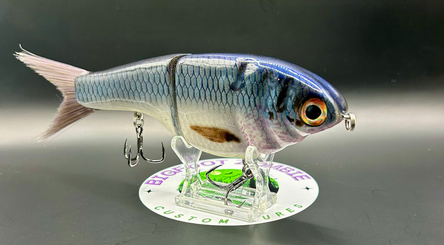 BZ Guppy Gilde 6in Resin