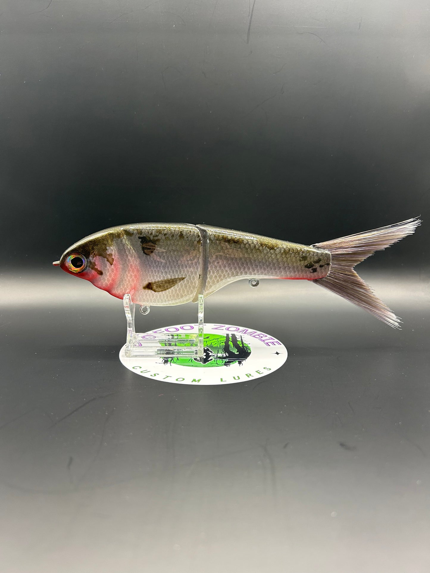 BZ Guppy Gilde 6in Resin