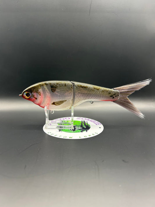 BZ Guppy Gilde 6in Resin