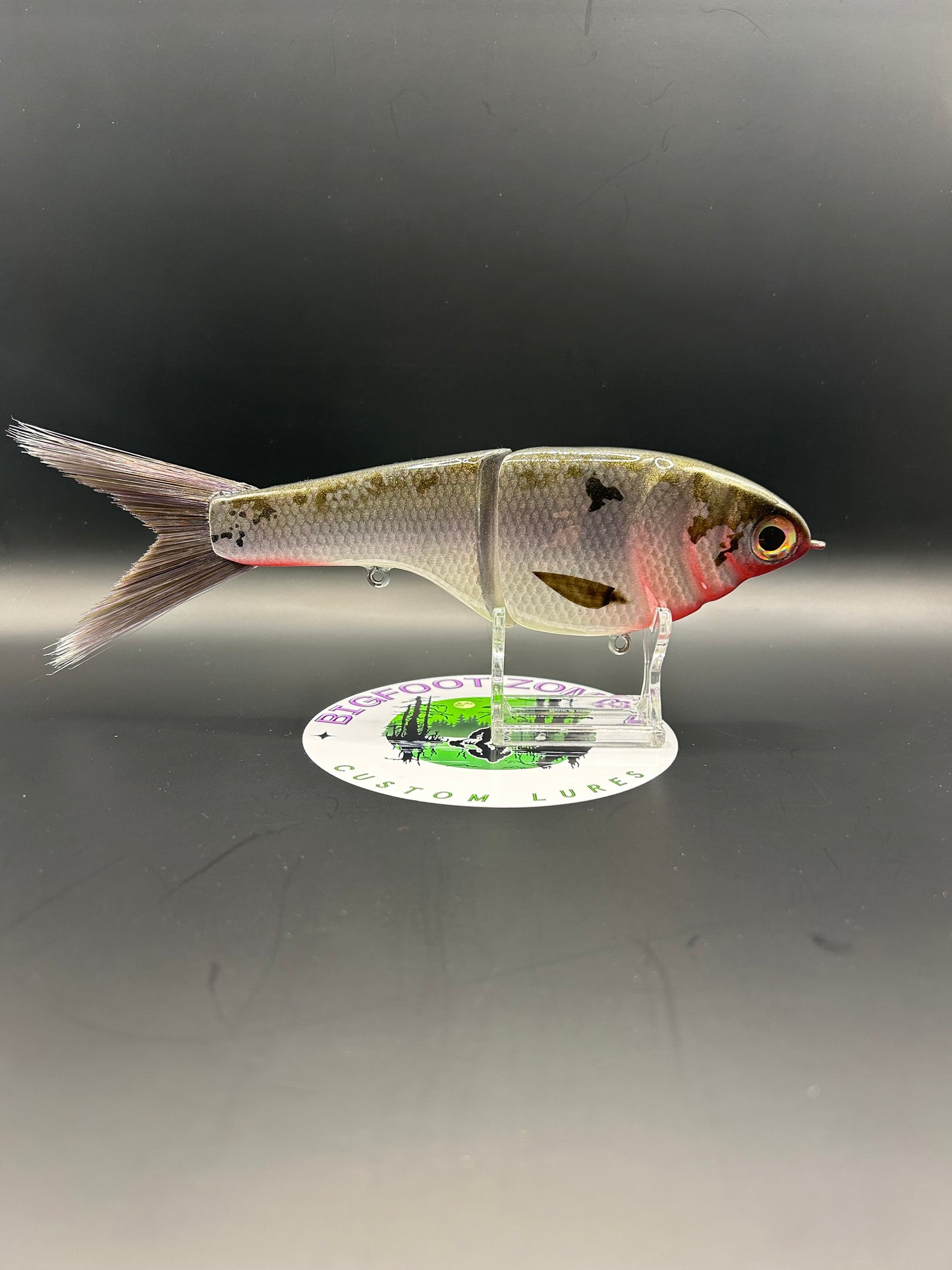 BZ Guppy Gilde 6in Resin