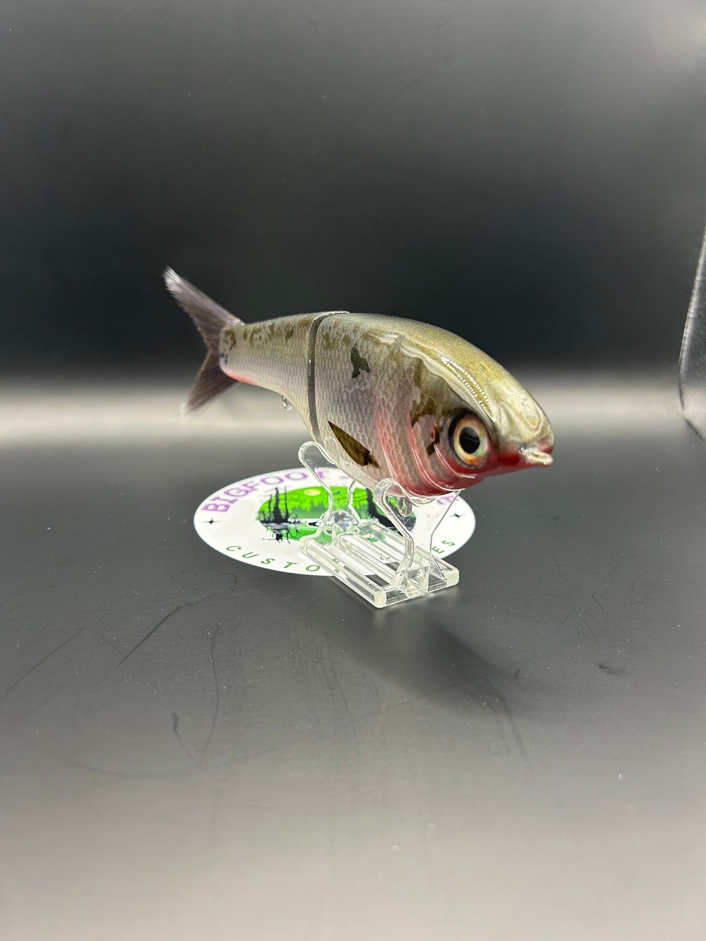 BZ Guppy Gilde 6in Resin