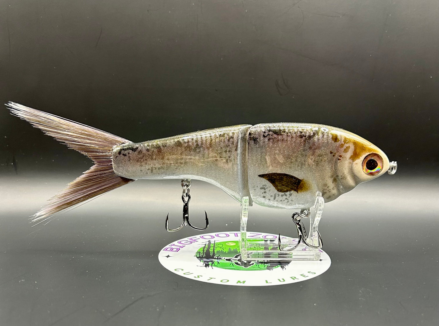BZ Guppy Gilde 6in Resin
