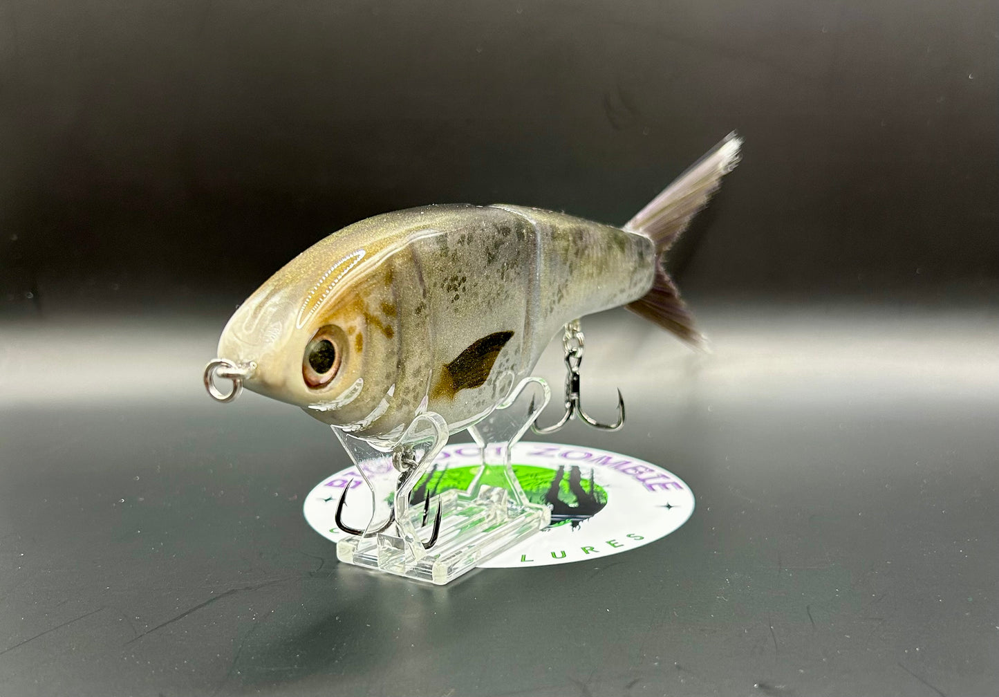 BZ Guppy Gilde 6in Resin