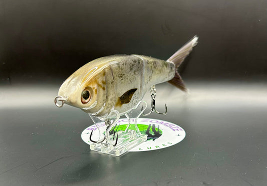 BZ Guppy Gilde 6in Resin