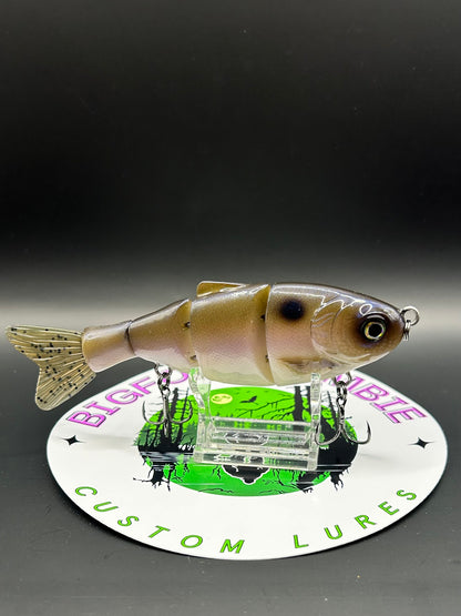 5" Swim Shad "Slow Sink"