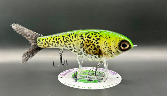 BZ Guppy Gilde 6in Resin