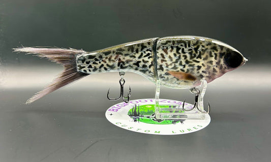BZ Guppy Gilde 6in Resin