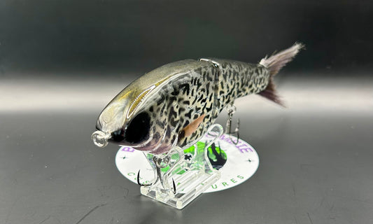 BZ Guppy Gilde 6in Resin