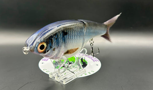 BZ Guppy Gilde 6in Resin