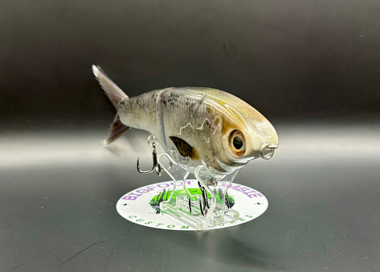 BZ Guppy Gilde 6in Resin