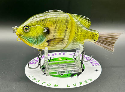5" Bream Glide