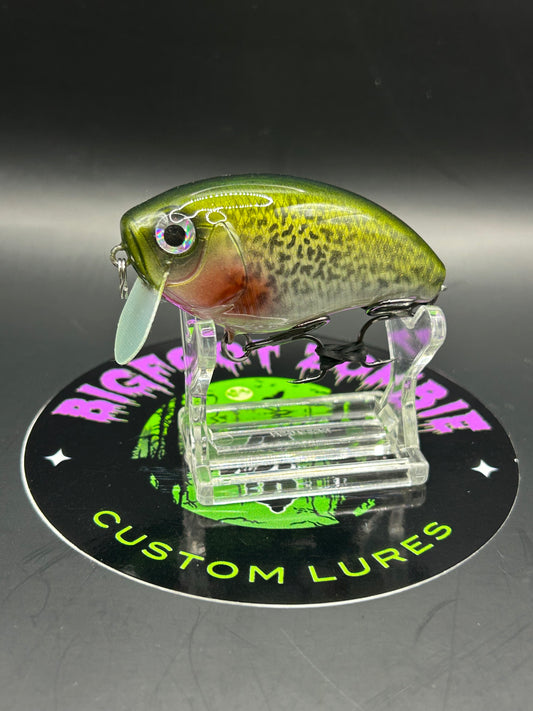 2.5” Wake Bait – Topwater Predator