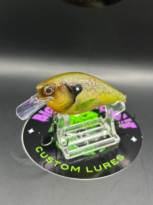 2.5” Squarebill Crankbait – Shallow Water Classic